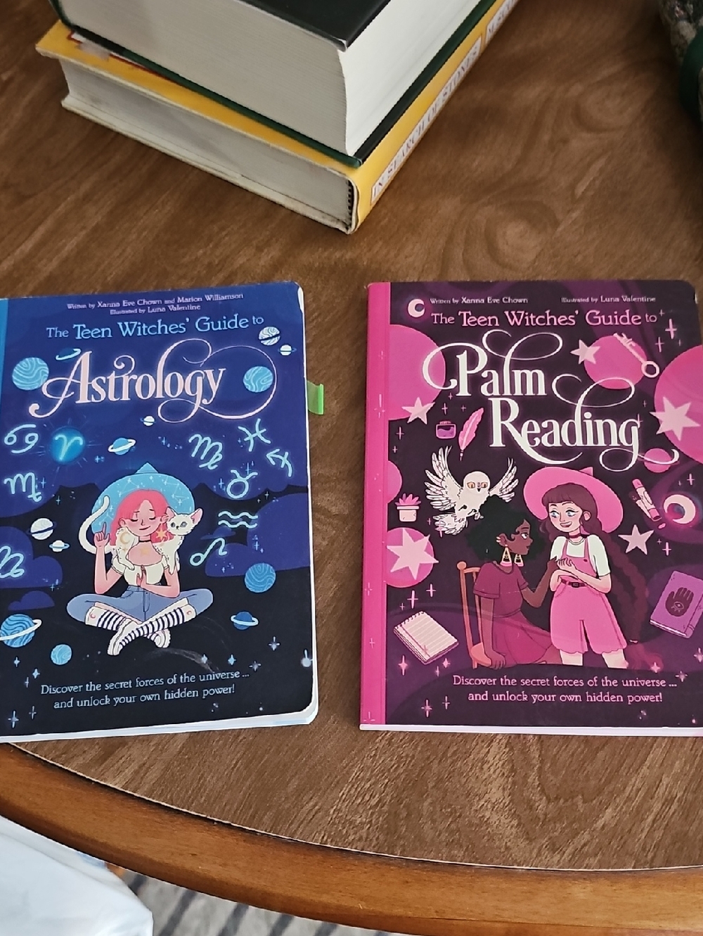 The Teen Witches' Guide to Astrology & Palm Reading - Blue and Pink Covers